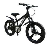 Vélo de montagne à une vitesse pour adultes SY de bonne qualité, 20 pouces, roue monobloc, vélo léger pour hommes et femmes
