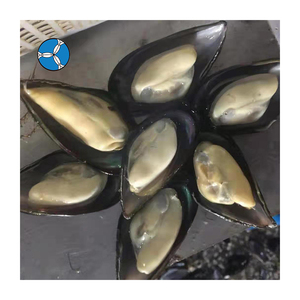 SANFENG SEAFOOD: Cozze Congelate a Mezza Conchiglia Affidabili per Supermercati e Servizi di Catering in Malesia - Product Image 3