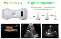 Usage général Échographie Doppler couleur sans fil à main Sonde convexe et linéaire et cardiaque 192 éléments Scanner à ultrasons vétérinaire DCU19G