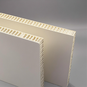 Trọng lượng nhẹ 10mm FRP PP tổ ong bánh sandwich Panel tấm nhựa cho tường ốp quảng cáo phân vùng tường cắt - Product Image 1