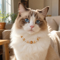 Ensemble collier et bracelet pour animaux de compagnie en cuir 100% véritable, élégant, jaune, avec cristaux, pour chiens et chats