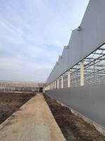 Serre à couverture en verre résistante aux intempéries de marque ZHUOTAI, fournie directement par l'usine, OEM ODM pour les grossistes agricoles mondiaux