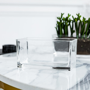 Nuovo vaso di vetro rettangolare decorazione trasparente desktop vaso idroponico contenitore soggiorno tavolo da pranzo decorazione bottiglia - Product Image 4