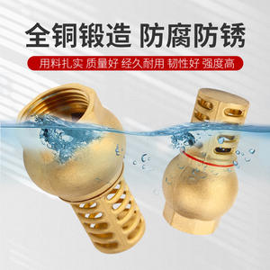 Válvula de Retención de Latón Huihong de 1 Pulgada con Filtro de Entrada de Resorte Antirretorno para Bomba de Agua, Uso a Temperatura Normal - Product Image 4