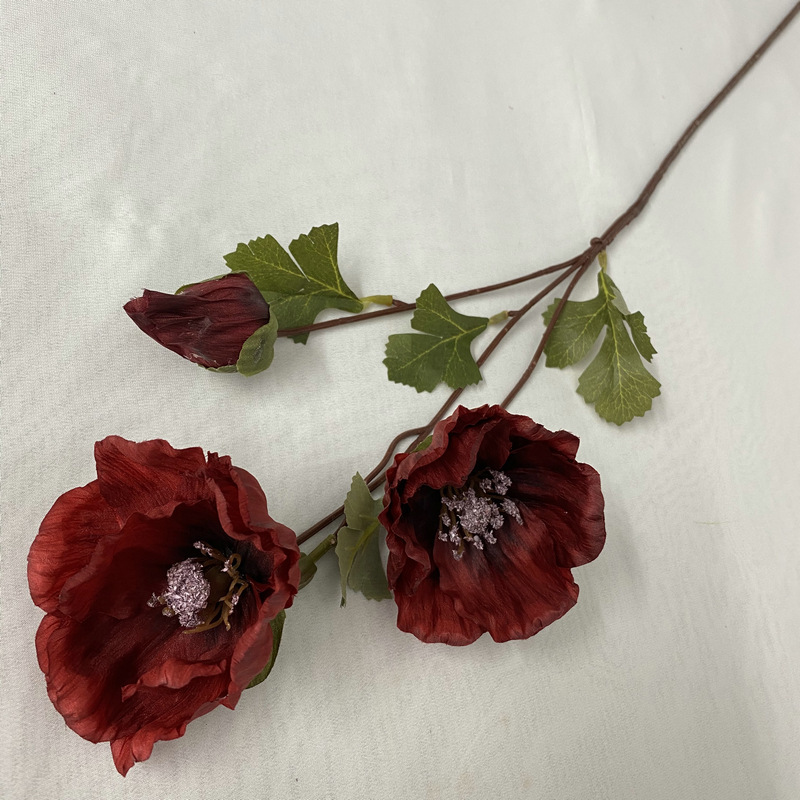 Peinture à l'huile : Coquelicot