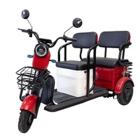 Vente en gros transfrontalière : Phares de voiture 48V haute luminosité pour tricycle électrique à trois places, avec cadre sur mesure et autonomie longue durée, robustes