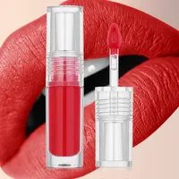 Velvet Matte Liquid Lipstick, Private Label