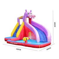 3-5 बच्चों यार्ड गृह गर्मियों में पानी के साथ मज़ा परिवार Inflatable हिप्पो पानी स्लाइड पार्क पूल पानी बंदूकों