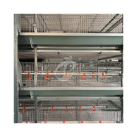 Type H nouvel équipement automatique en acier de ferme avicole batterie à plusieurs niveaux Cage de poulet de chair pour usage domestique Type de poulet à œufs