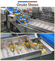 Ligne de traitement d'ananas personnalisée avec moteur, pompe et roulement en acier inoxydable SUS 304 pour machine de nettoyage, épluchage, dénoyautage et découpe