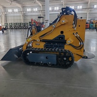 Mini binario caricatore diesel caricatore pista Skid Steer con moncone smerigliatrice foresta falciatrice