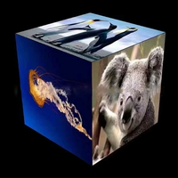 Affichage LED Cube Magique Créatif P2.5 Intérieur 4 Faces pour Publicité en Magasin de Détail