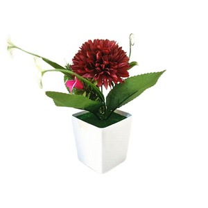 Chrysanthème artificiel en pot, plante bonsaï, 16 cm, décoration intérieure, ornement - Product Image 5