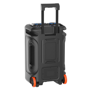 Loa Xe Đẩy Karaoke 15 Inch Với Tủ Nhựa - Product Image 5