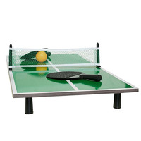 Filet de ping-pong portable rétractable Oem 2*2cm pour toute table