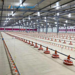 Giá thấp nhất và hệ thống cho ăn tự động nông nghiệp hiệu quả nhất - Product Image 6