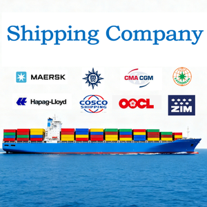 Поставщик логистических услуг <span class=keywords><strong>DHL</strong></span>, экспедитор из Китая в Австралию, доставка от двери до двери, DDP, фрахтовый оператор в Тасманию, Брисбен - Product Image 3