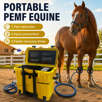 Appareil PEMF équin portable, dispositif de thérapie magnétique pour le bien-être des chevaux, soins vétérinaires et professionnels équins