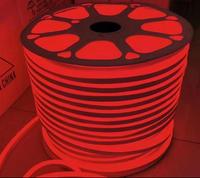 Taille personnalisée 220V Silicone LED Néon Bande Lumières IP67 PVC Lampe Corps Découpable Guirlandes Lumineuses Paysages Extérieurs Décorations Plug