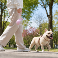 Bouteille d'eau pliable en silicone pour chien et chat, bol anti-fuite, tasse de voyage sphérique, écologique et durable pour la marche et la randonnée