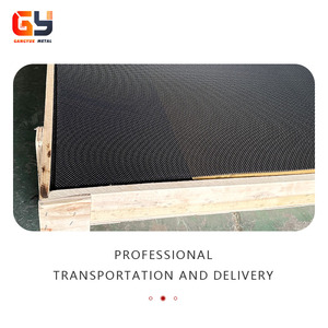 Thép không gỉ <span class=keywords><strong>316</strong></span> cửa sổ màn hình an ninh lưới chống côn trùng Cửa sổ lưới màn hình - Product Image 6