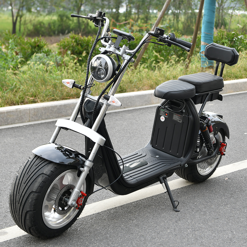 EB-X10 Electric Motorcycle - 1500w/2000w Citycoco Scooter