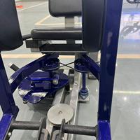 Nouvel arrivage commercial : Équipement d'entraînement de musculation Rosen, couleur personnalisée, équipement de gym, machines à charges guidées, adduction des hanches