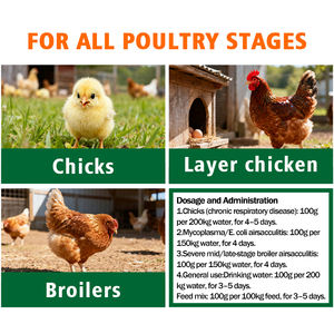 CY AirsacClear Seguro <span class=keywords><strong>y</strong></span> Conveniente: Mejora la Inmunidad, Trata Enfermedades Respiratorias <span class=keywords><strong>y</strong></span> Aditivos para Alimentos de Aves de Corral - Product Image 4