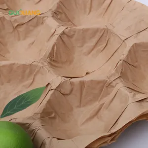 Apple 100% Inserts en papier biodégradable Plateau d'alvéoles pour l'emballage des fruits