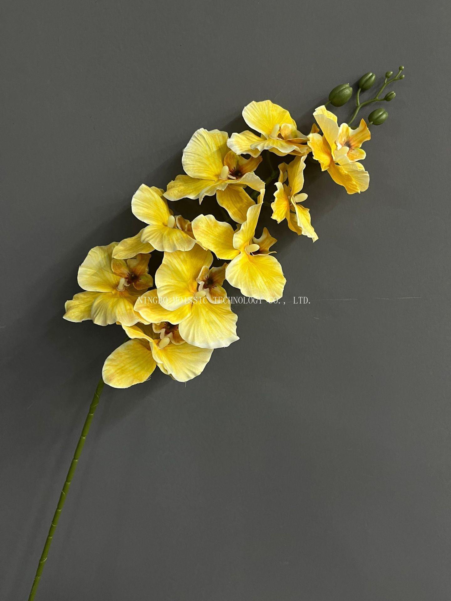 สีเหลือง