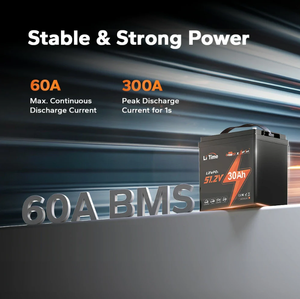 リチウムイオン電池パック30ah LiFePO4ゴルフカート電池<span class=keywords><strong>48V</strong></span>高性能 - Product Image 3