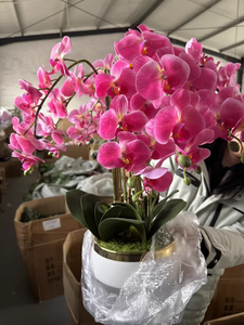 Fleur artificielle de Phalaenopsis en 3D de haute qualité, toucher réaliste, pour la décoration de la table de salon - Product Image 2