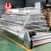Cage d'élevage de poules pondeuses entièrement automatique de type A, équipement agricole complet avec dispositif de collecte automatique des œufs et de gestion des déchets
