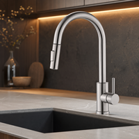 Robinet mélangeur de cuisine monocommande monotrou en acier inoxydable Ares Idealex, best-seller, avec douchette extractible pour évier