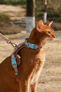 Anti-ontsnappings verstelbare sportwandelharnas en riem voor kleine honden, buitensportartikelen model - Product Image 3