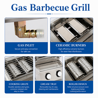 Barbecue au gaz commercial en acier inoxydable, machine à kebab avec contrôle de température pour restaurant, hôtel, extérieur