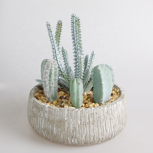 Cao Cấp Trang Trí Nội Thất, Nhân Tạo Cây Xương Rồng, Mọng Nước Bonsai - Product Image 2