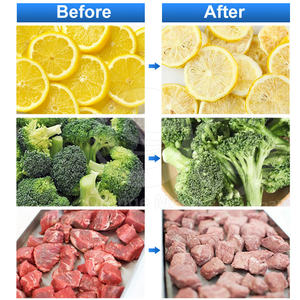 ORME Mini Liofilizador Alimentos Peptide <b>Food</b> Freeze Drying Machine Candy Freeze Dryer for Home - Product Image 4