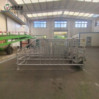 Fabricant de boxes pour truies d'élevage, vente directe usine, boxes de gestation pour truies en acier galvanisé, équipement en gros, solutions agricoles personnalisées
