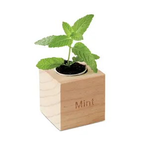 Mini barattolo MINT in legno, gadget ecologici - Product Image 2