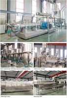 Ligne de production extrudeuse Saibainuo de 5 tonnes par heure, machine à fabriquer des granulés d'aliments pour poissons