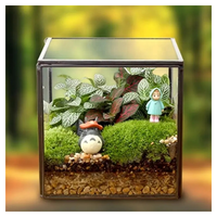 Terrarium géométrique en verre noir pour plantes succulentes, fougères, plantes aériennes, mini-jardin féerique, cadeau