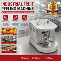 Zware professionele commerciële fruit-schilmachine van roestvrij staal, duurzaam, elektrisch, geschikt voor sinaasappels, appels, citroenen, restaurantkwaliteit