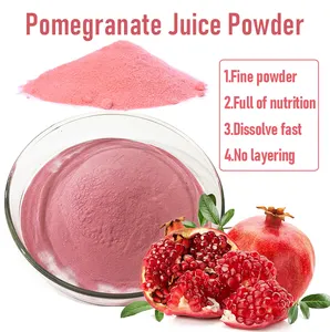 High Quality Pomegranate Juice Powder/pomegranate Fruit Powder