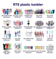 Reusable Double Wall Plastic Tumblers with Straw
