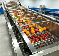 Productielijn voor het matchen van bubbelspoelmachines voor een complete groenteverwerkingsketen