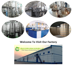 Suministro de alta calidad, mejora el sabor, sabor, <span class=keywords><strong>Flavourzyme</strong></span>, Grado Alimenticio - Product Image 5