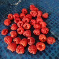 Framboises surgelées en gros à prix compétitif pour l'exportation