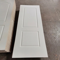 Porte moulurée à 2 panneaux en HDF blanc apprêté, 3 mm, résistante à l'humidité, peignable, pour les constructeurs et entrepreneurs américains