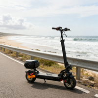Scooter électrique Citycoco pas cher fabriqué en Chine, pneus larges de 10 pouces, scooter électrique 36V, scooter électrique à 2 roues pour adultes